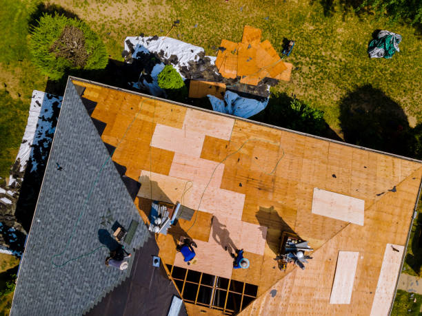 Best Local Roofing Companies  in Memphis, TX