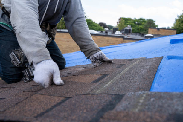 Best Residential Roofing Contractor  in Memphis, TX